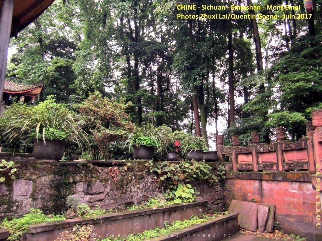 Emeishan 060.JPG